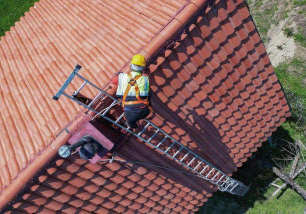 Best Skylight Installation and Repair  in Andusia, AL